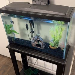 15 Gallon Fish Tank