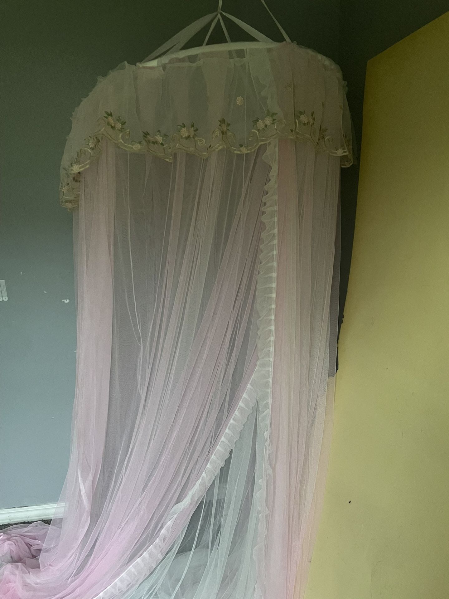 Canopy