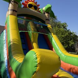 Waterslide new for sale