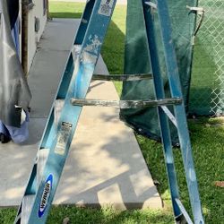 Werner Ladder 6ft.