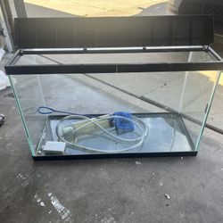 Fish Tank