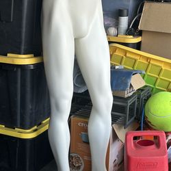 Lower Male mannequin body