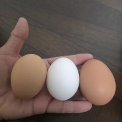 Fresh Farm Eggs - Unwashed