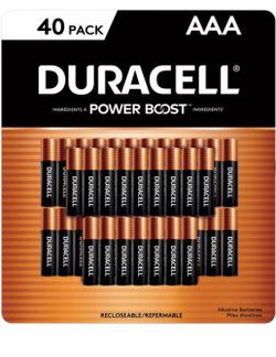 Duracell Coppertop Alkaline AAA Batteries, 40-count