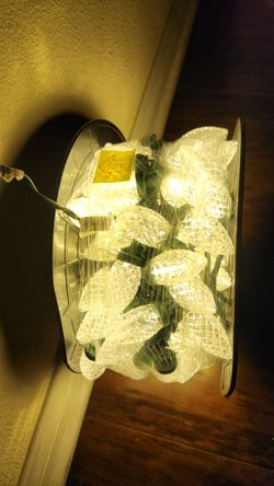 100 count C9 Led Lights White