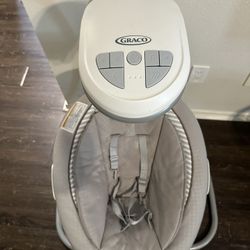 Graco Infant Swing and Bouncer