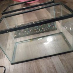 Two 5 Gallon Fish Tanks