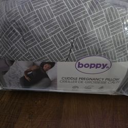 Pregnancy Pillows 
