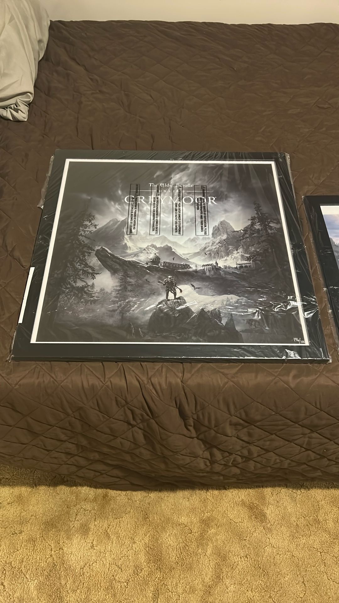 Elder Scrolls Online Lithograph 196/300 Framed