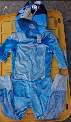 Bluey costume