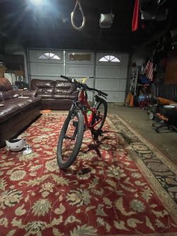 Trek bike