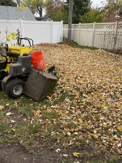 Leaf Cleanup/snow Removal