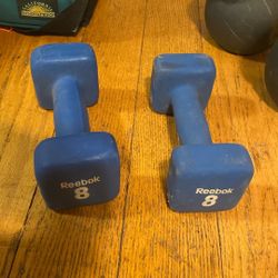 2x 8 Lbs Weights