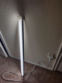 Lights $5 each