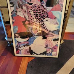 Large Framed Bird Picture
