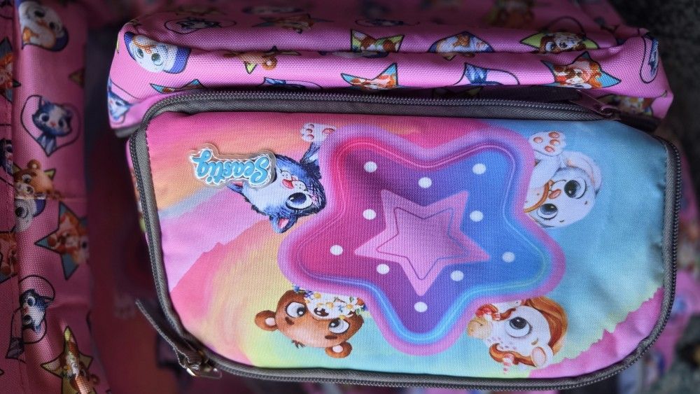 Girls Rolling Backpack With Matching Lunch Pail