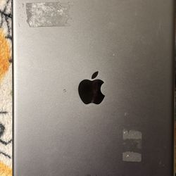 iPad 
