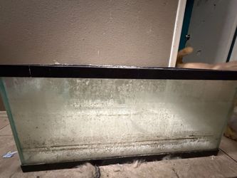 40 gallon tank