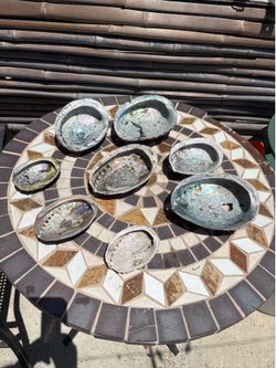 Abalone shells