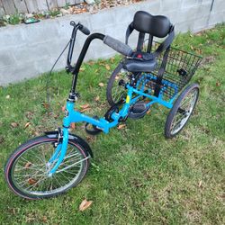 Worksman Cycles Tricycle 