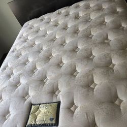 The Bon Marche Cascadia European pillowtop back supporter mattress