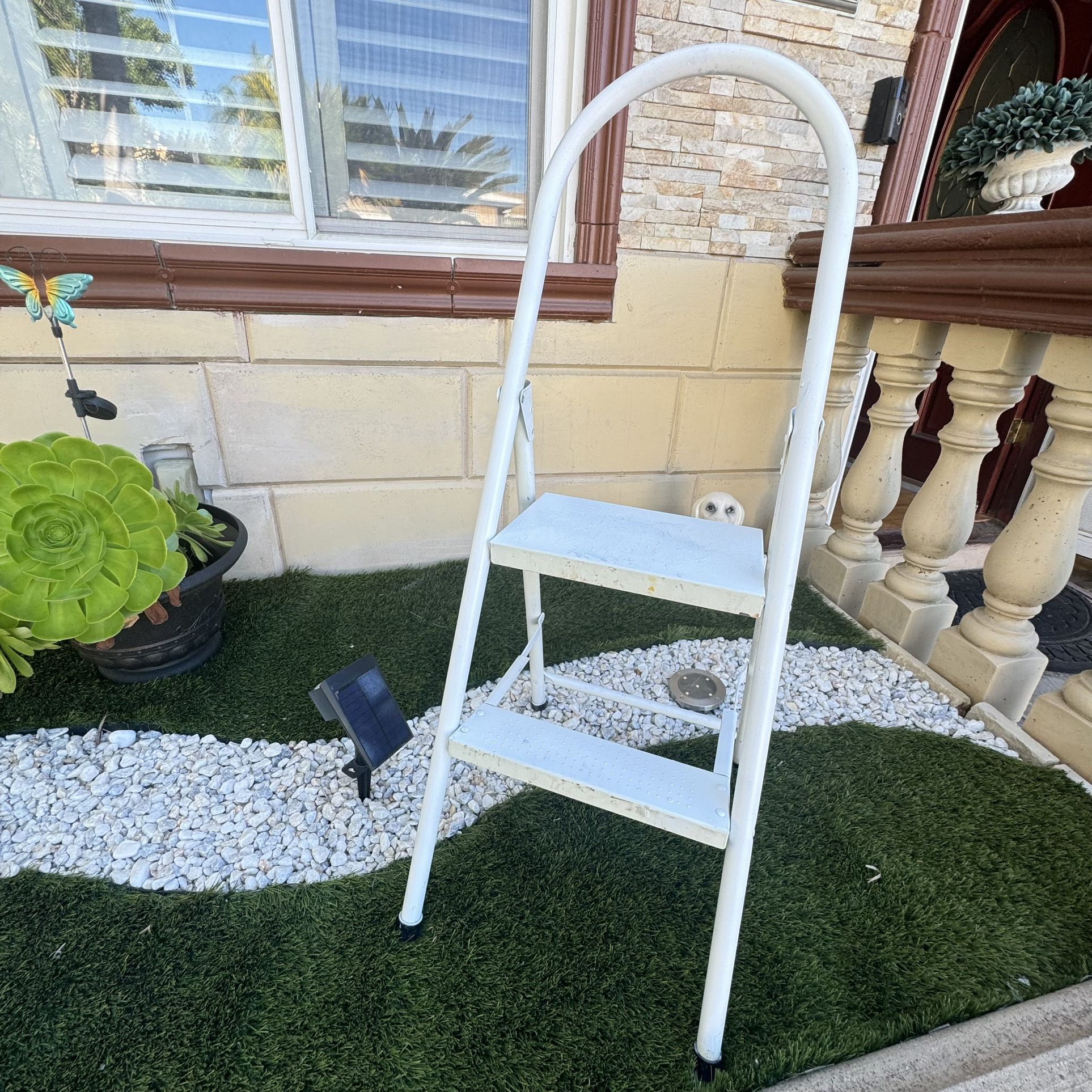 Aluminum Ladder 