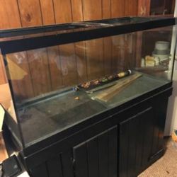 75 Gallon Fish Tank With Stand And Filter