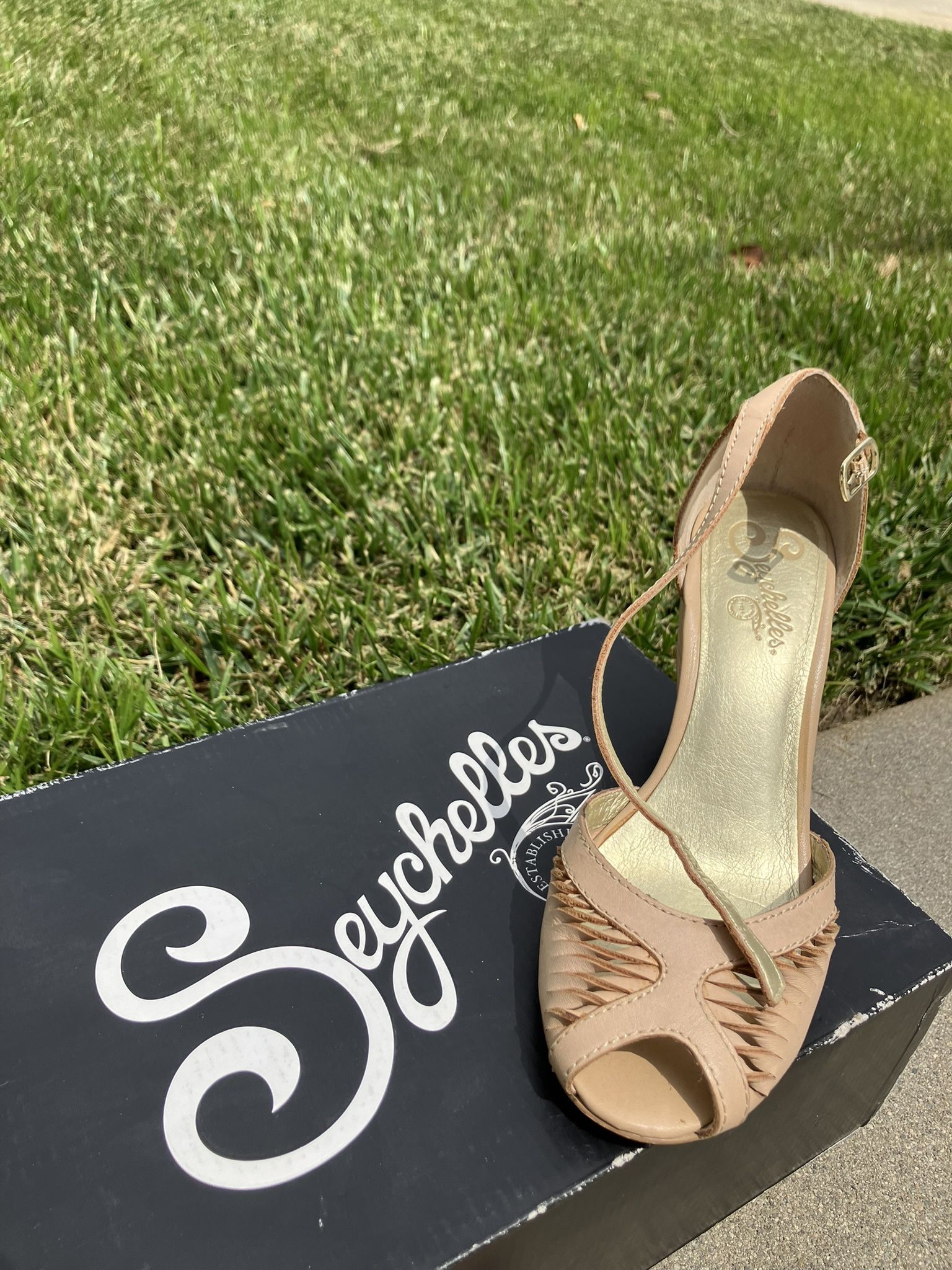 Seychelles Wedge Shoe