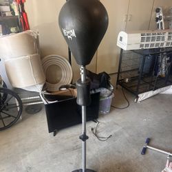 Punching Ball Boxing 