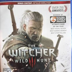 The Witcher wild 3 hunt