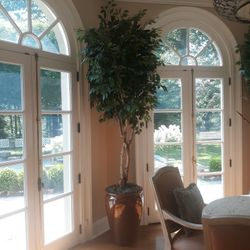 2 Decorative House Plants Or Trees