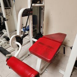 Bodymaster Prone Leg Curl Gym Equipment Exercise Fitness Weight Machine