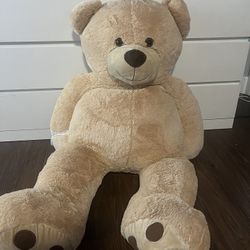 Teddy Bear