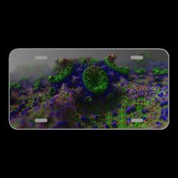 License Plate Novelty Car Front Fractal Math Geometry Science