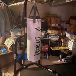 Everlast Punching Bag