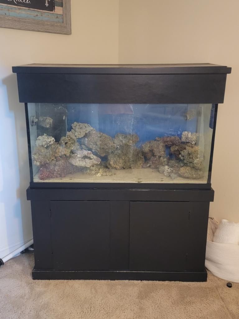 90 Gallon Fish Tank And Stand And Sump
