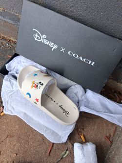 Disney/Coach slides