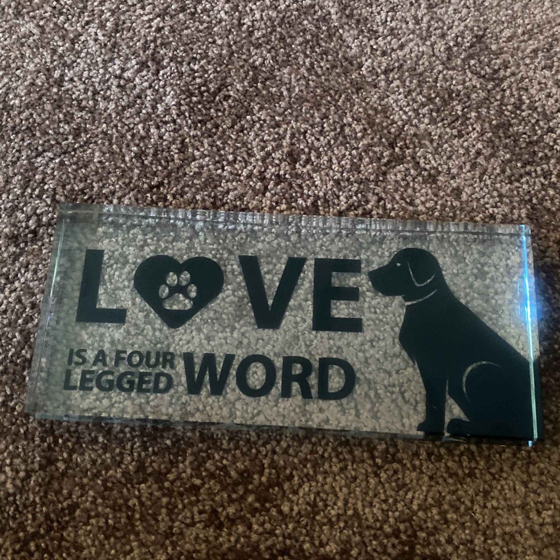 Show Love To Your dog