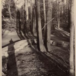 PHOTOGRAPHY ART 2007