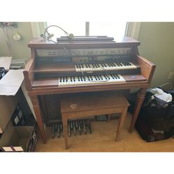 Organ 