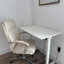 Ergonomic Office Chair