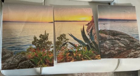 Canvas Size 3 x (16”x 12)