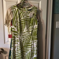 Ladies Dresses