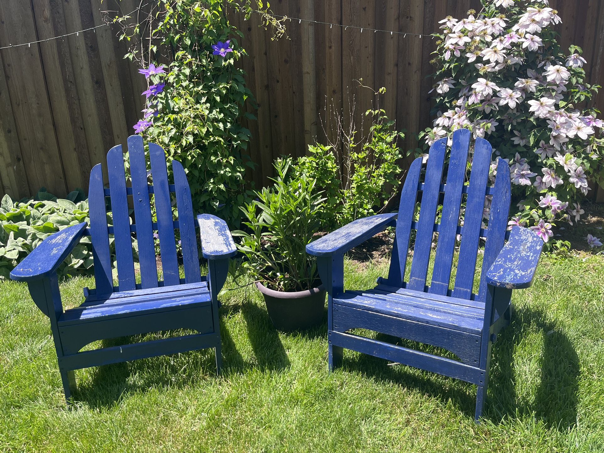 Cedar Adirondack Chairs 