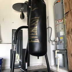 Everlast Heavy Bag And Speed Bag 