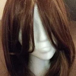 Shoulder Length Straight Brown With Highlights Fashion. Full Head Hair Wig