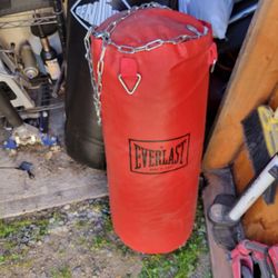 Everlast Punching Bag (50lbs?)