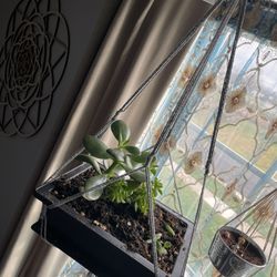 Bonsi  Tree Planter Hanger 