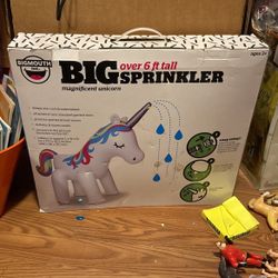 Big Water Inflatable 