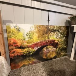 Nature Canvas 30”x50”